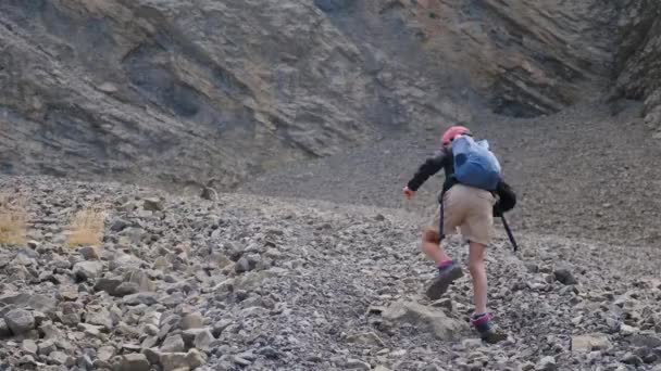 山でハイキングするかわいい少年 — ストック動画
