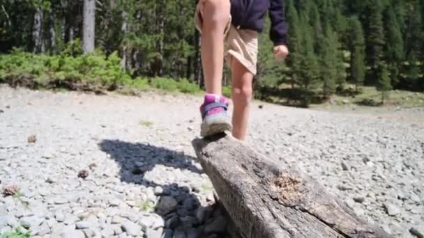 Nahaufnahme Von Junge Fuß Auf Baumstamm — Stockvideo