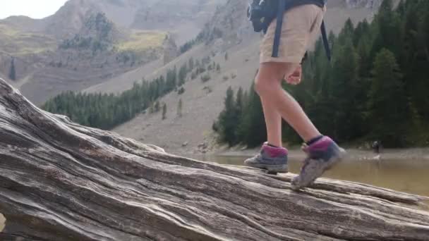 Крупним Планом Дитячі Ноги Йдуть Зруб Падіння Дерева — стокове відео