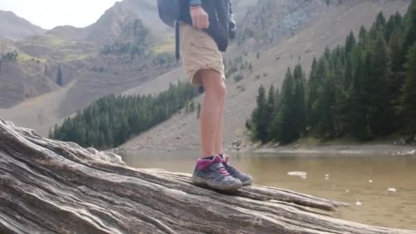 倒れた木のログを歩くクローズアップ子供の足 — ストック動画