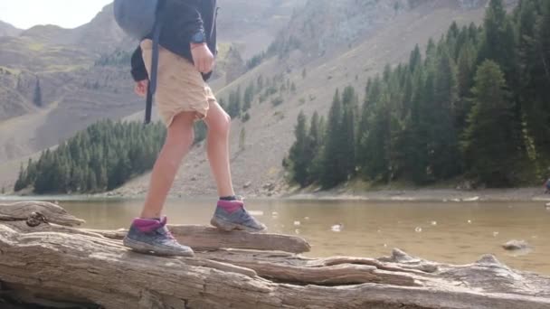 倒れた木のログを歩くクローズアップ子供の足 — ストック動画