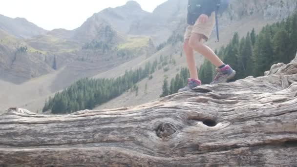 Close Πόδια Παιδί Πόδια Ένα Πεσμένο Κορμό Δέντρο — Αρχείο Βίντεο