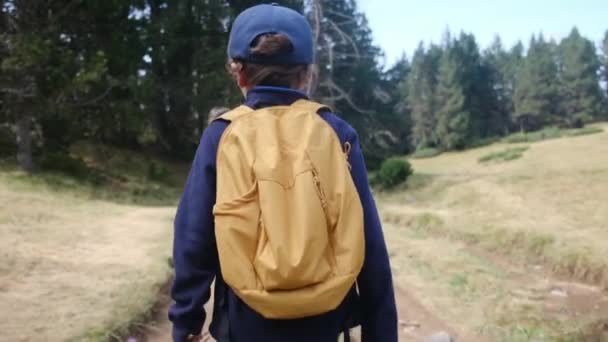 素晴らしいアウトドアの自由を受け入れる山をハイキングする家族 — ストック動画