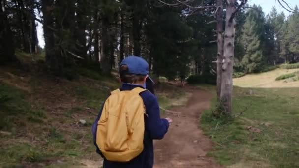Aile Dağlarda Yürüyüş Yapıyor Açık Havada Özgürlüğe Kucak Açıyor — Stok video