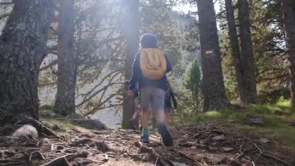 家人在高山上远足 拥抱大自然的自由 — 图库视频影像