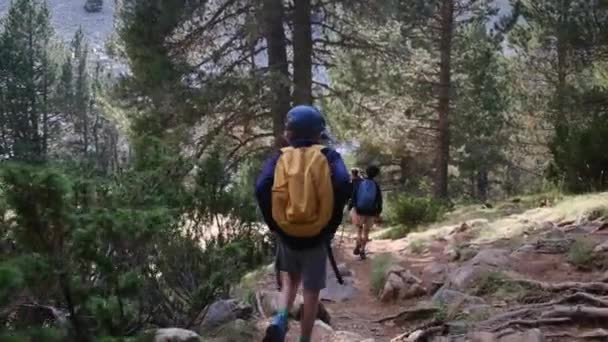 Family Hiking Mountains Embracing Freedom Great Outdoors — Stock Video