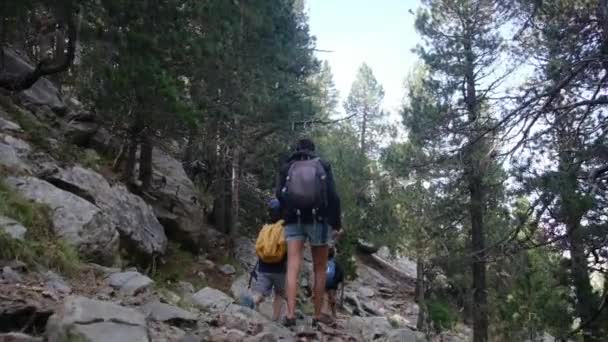 素晴らしいアウトドアの自由を受け入れる山をハイキングする家族 — ストック動画