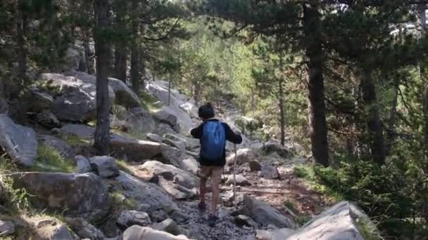 Randonnée Dans Forêt Les Montagnes Petit Garçon Avec Sac Dos — Video