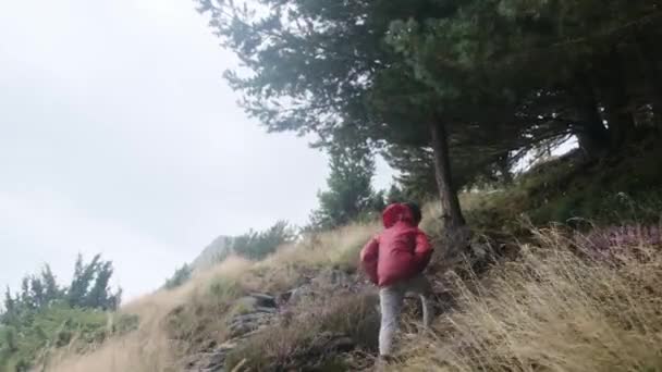 夏の間に国立公園を散策する小さな男の子のバックビュー — ストック動画