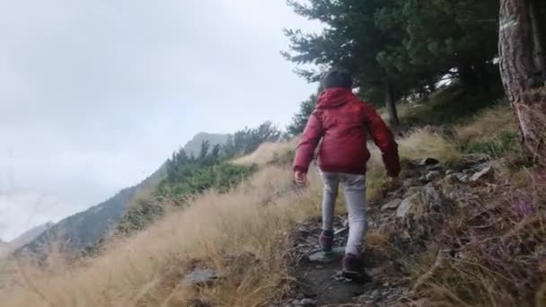 Vista Trasera Del Niño Caminando Parque Nacional Durante Verano — Vídeos de Stock