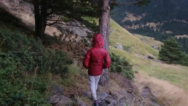 Вид Мальчика Гуляющего Национальном Парке Летом — стоковое видео
