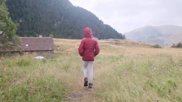 Pohled Zezadu Malého Chlapce Procházejícího Národním Parku Během Léta — Stock video