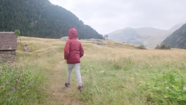 Bakåt Syn Liten Pojke Promenader Nationalpark Sommaren — Stockvideo