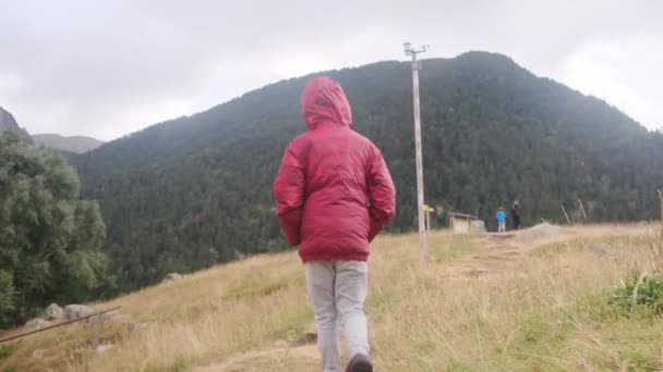 Bakåt Syn Liten Pojke Promenader Nationalpark Sommaren — Stockvideo