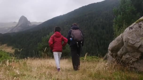 Anya Fiaival Sétál Nemzeti Parkban Nyáron — Stock videók