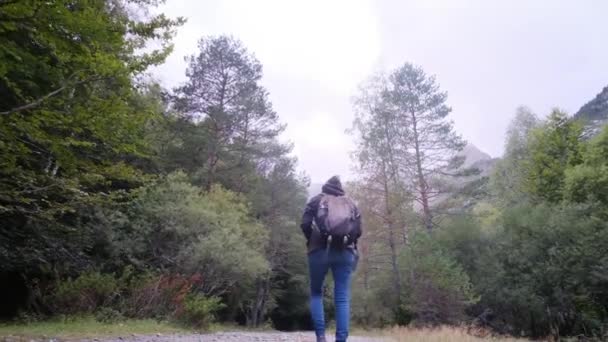 Woman Tranquil Journey Waterfalls Inglês Verdant Forest Wonderland Junte Uma — Vídeo de Stock