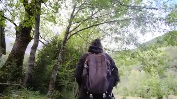 Tranquillo Viaggio Donna Cascate Una Foresta Verdeggiante Wonderland Unisciti Sereno — Video Stock
