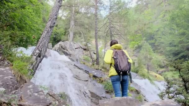 Dámská Klidná Cesta Vodopádům Zelené Lesní Říši Divů Připojte Ženské — Stock video
