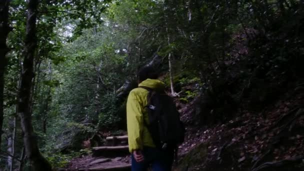 Mujer Camina Través Las Montañas Abrazando Libertad Gran Naturaleza — Vídeo de stock