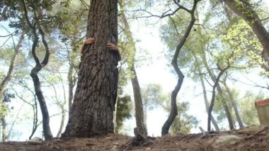 Mutlu çocuklar elleriyle ağaca sarılıyor. Orman çevresi. Ağaca sarılan duygular. Doğa ekolojisi kavramı. Ormanda yeşil bitkiler. Bir ağaca sarılmak doğaya olan sevginin sembolüdür.