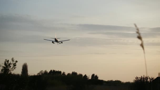 Silhouette Avion Passagers Qui Atterrit Aéroport Coucher Soleil Hiver Concept — Video