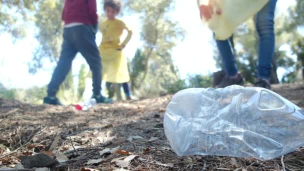 一个家庭用袋子从森林中收集垃圾 进行适当处理 以保护环境 减少污染 收集垃圾的孩子志愿者团队合作 — 图库视频影像