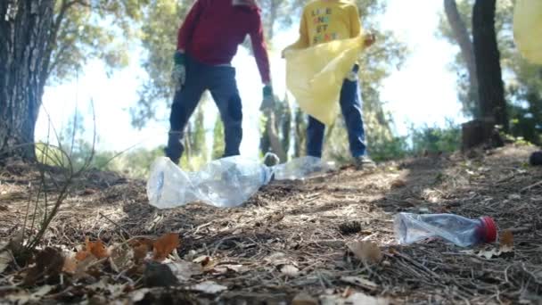 Bir Aile Çevreyi Korumak Kirliliği Azaltmak Için Çöpleri Torbalar Halinde — Stok video