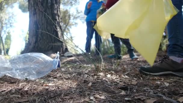 Een Gezin Verzamelt Afval Uit Het Bos Zakken Voor Een — Stockvideo