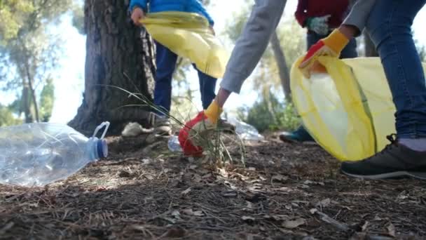 Μια Οικογένεια Συλλέγει Σκουπίδια Από Δάσος Σακούλες Για Την Κατάλληλη — Αρχείο Βίντεο
