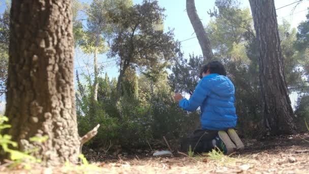 Een Jonge Naturalist Bestudeert Natuur Van Het Bos Met Vergrootglazen — Stockvideo