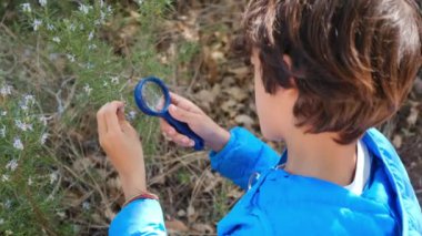 Genç doğa bilimci çocuk büyüteçle ormanın doğasını inceliyor. seyahat macera konsepti.
