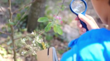 Genç doğa bilimci çocuk büyüteçle ormanın doğasını inceliyor. seyahat macera konsepti.