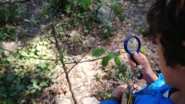 Genç doğa bilimci çocuk büyüteçle ormanın doğasını inceliyor. seyahat macera konsepti.