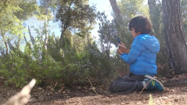 Молодой Натуралист Изучает Природу Леса Лупой Туристическая Концепция — стоковое видео