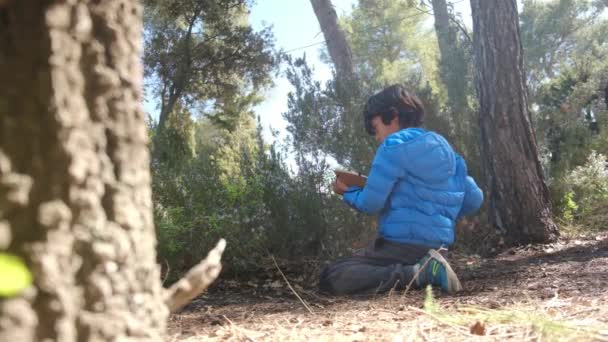 年轻的自然主义小孩带着放大镜研究森林的本质 旅游探险概念 — 图库视频影像