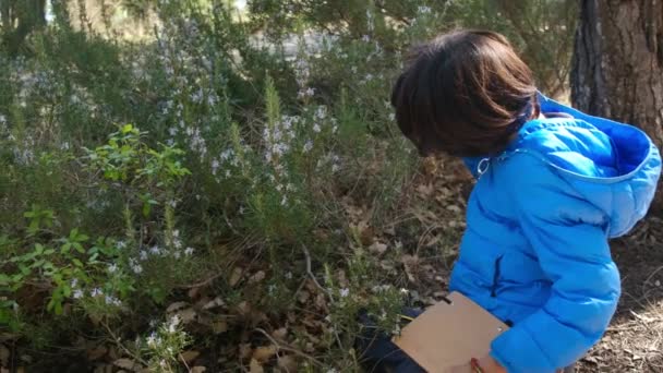 Der Junge Naturforscher Studiert Mit Einer Lupe Die Natur Des — Stockvideo