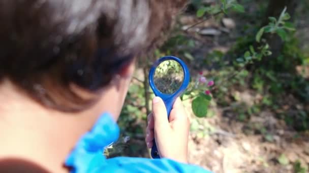 Niño Naturalista Joven Está Estudiando Naturaleza Del Bosque Con Lupas — Vídeo de stock
