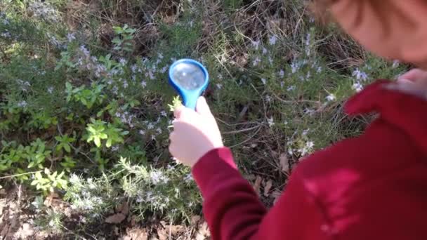 若い自然主義の子供は 壮大な眼鏡で森の性質を研究しています 旅行観光アドベンチャーコンセプト — ストック動画