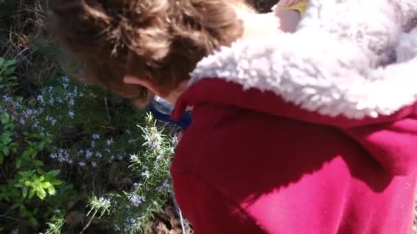 Criança Naturalista Jovem Está Estudando Natureza Floresta Com Lupas Turismo — Vídeo de Stock