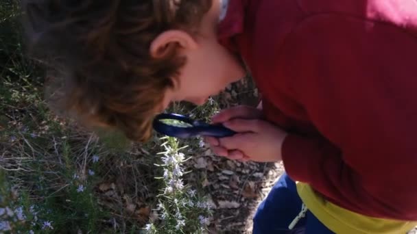 Młody Przyrodnik Bada Naturę Lasu Okularach Powiększających Koncepcja Przygody Turystyki — Wideo stockowe