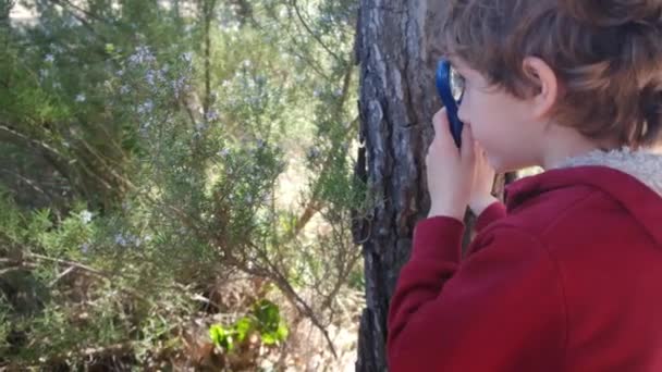 Młody Przyrodnik Bada Naturę Lasu Okularach Powiększających Koncepcja Przygody Turystyki — Wideo stockowe
