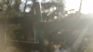 Anne ve çocuk gün batımında el ele tutuşuyorlar. Oğul ya da kız olarak siluet anne elini tutuyor. Güneş patlamaları. Aile, güven, aşk ve mutluluk kavramı