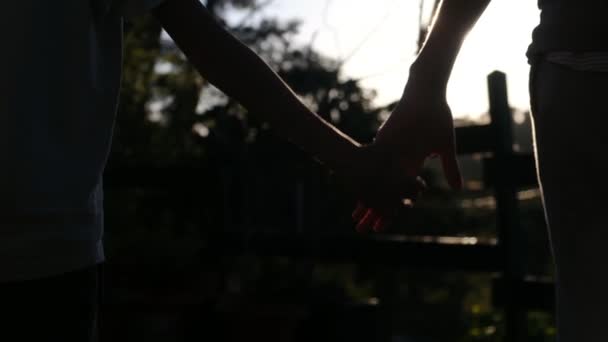 Mama Dziecko Trzymają Się Ręce Tle Zachodu Słońca Sylwetka Jako — Wideo stockowe