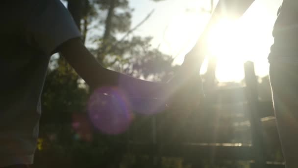 Mutter Und Kind Halten Sich Vor Sonnenuntergang Den Händen Silhouette — Stockvideo
