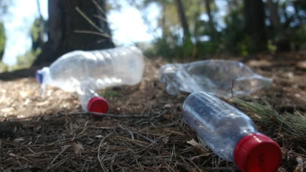 Απορρίμματα Απορριμμάτων Και Πλαστικά Στο Δάσος Έννοια Σώσει Βιωσιμότητα Της — Αρχείο Βίντεο
