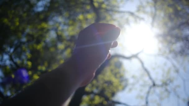 Σιλουέτα Χέρι Στον Ήλιο Θρησκεία Βοηθάει Ευτυχισμένο Κορίτσι Τραβάει Χέρι — Αρχείο Βίντεο