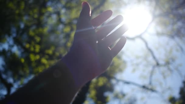 Силует Руки Сонця Релігія Допомагає Руці Щаслива Дівчина Тягне Руку — стокове відео
