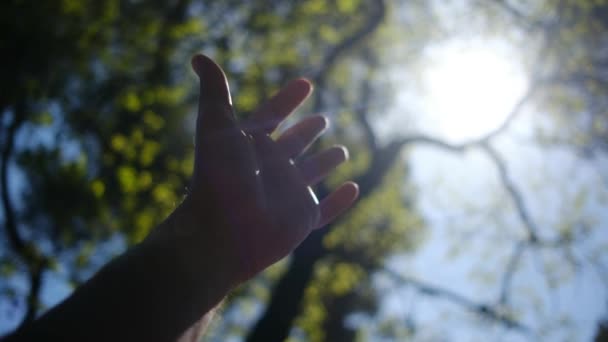 Güneşe Uzanan Silueti Din Yardım Eli Uzatır Mutlu Kız Elini — Stok video