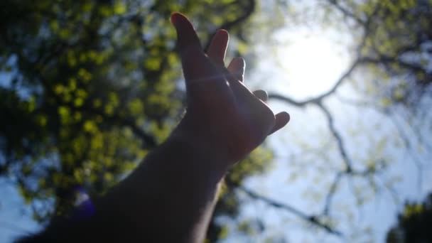Silhouette Der Hand Zur Sonne Die Religion Hilft Glückliches Mädchen — Stockvideo