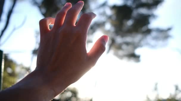 Silhuett Hand Till Solen Religionen Hjälper Till Lycklig Flicka Drar — Stockvideo